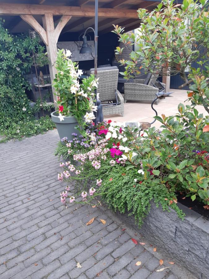 Benb Weerribben Wieden Bed & Breakfast